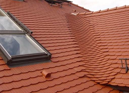 Familie Ernst Werdau – Biberschwanz